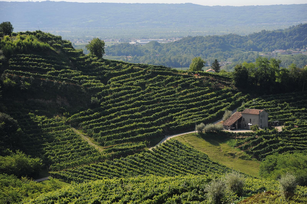 Places to visit in Italy Prosecco wine road
