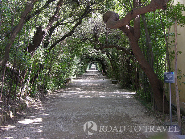 Giardini di boboli View of one of the tree-lined avenues of the Boboli Gardens.<br/> In the heart of Florence, the park contains a fine collection of statues apoca ranging from Roman times to the twentieth century.<br/> Because of its central location a visit of the Boboli Garden fits perfectly in a walking tour of Florence. <br/>From the Garden you can also enjoy a beautiful view of the city of Florence and of the Pitti Palace.<br/> The garden is open daily from 8.15am to 3.30pm entrance fees. It is closed the first and last Monday of each month, Christmas and New Year