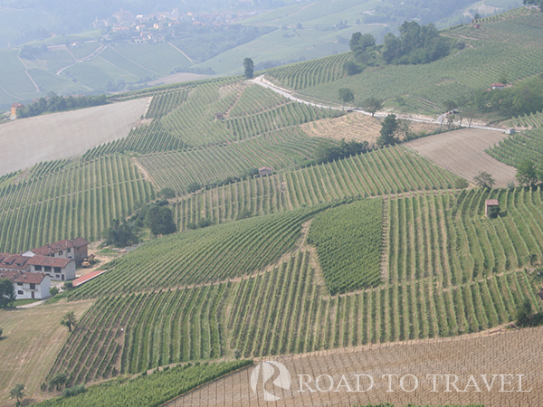 Langhe landscape Typical landscape of the Langhe area. From its wineyards come the famous Piedmont wines as Barolo, Barbera, Nebbiolo and Dolcetto.